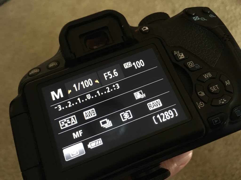 RAW camera